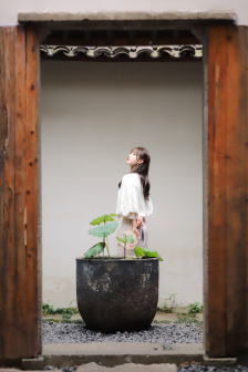 穿越到女儿国